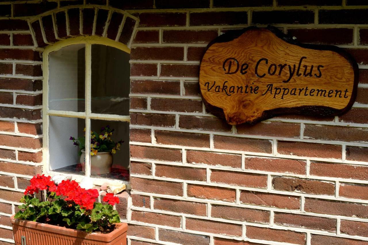De Corylus Vakantie Appartement Oosterhesselen Εξωτερικό φωτογραφία